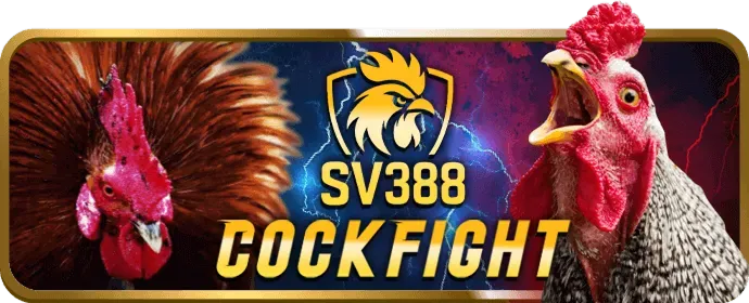 Chương trình VIP Vibet88